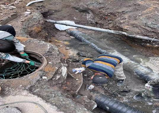 金世豪·(中国区)有限公司官网